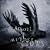 A Murder Of Crows