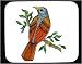 Mouse Pad with jay, blue, robin, red, bird