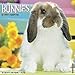 2016 Just Bunnies Wall Calendar