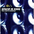 Space Is King-from Dub to Dubstep