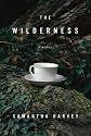 The Wilderness