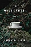 The Wilderness: A Novel