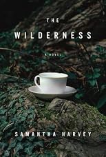 The Wilderness