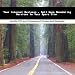 Your Internet Business - Sell Home Remodeling Services In Your Spare Time