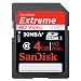 SanDisk - Carte M�moire SDHC HD Video - Extreme - Classe 10 - 30 Mo/sec - 4 Go