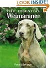 The Essential Weimaraner