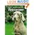 The Essential Weimaraner (Book of the Breed S)