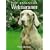 The Essential Weimaraner (Book of the Breed S)