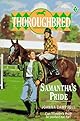 Thoroughbred #07 Samantha's Pride (Thoroughbred)