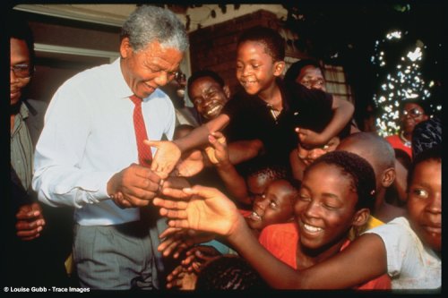 Mandela: The Authorized Portrait under Tutu, Desmond in The Books Store