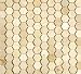 Crema Marfil 1" Hexagon Mosaic Honed