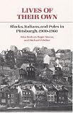 Lives of Their Own: Blacks, Italians, and Poles in Pittsburgh, 1900-1960 (Working Class in American History)