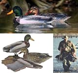 Sporting Goods : Blackwater Fold Up Mallard Duck Decoy 12-Pack
