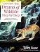 Painting the Drama of Wildlife Step by Step
