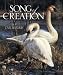 Song of Creation