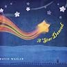 Image of album by David Wahler