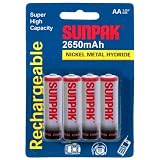 Sunpak ACC-M1078-01 Rechargeable NiMH AA Battery Bundle