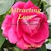Attracting Love: How to Manifest Mutually Fulfilling Relationships