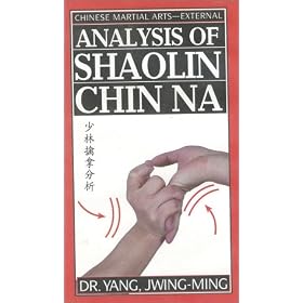 Analysis of Shaolin Chin-na