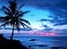 Heavenly Hawaii: The Ultimate Collection of the World's Finest Hawaiian Food Recipes