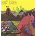 The Curious City [Vinyl]