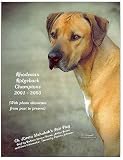 Rhodesian Ridgeback Champions, 2001-2003