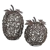 Seasons of Cannon Falls Thanksgiving Pumpkins Set of 2 Tablescape Decor