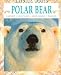 Book Polar Bear: Habitats, Life Cycles, Food Chains, Threats (Natural World)