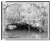 Historic Print (L): Florida--Miami--Arch Creek