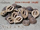 クルミ カラ １袋（30cm×40cm袋 2kg強）