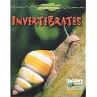 Invertebrates (Discovery Channel School Science) by Margaret Carruthers, Kathleen Feeley, Sara Heiberger, and Jacqueline A. Ball