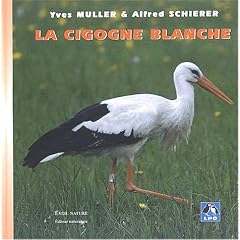 La cigogne blanche