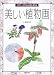 スケッチからはじめる美しい植物画