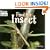 Find the Insect (Welcome Books: Hide and Seek)