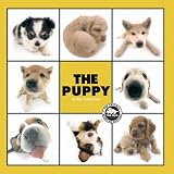 The Puppy (Artlist Collection)