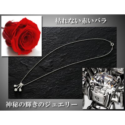 Cover image : 翌日配達お花屋さん ジュエリーベストドレッサー賞贈呈商品！ 30代部門 篠原 涼子さんモデルのネックレスゆらゆらゆれる3つの輝きが魅力的。【送料無料】篠原 涼子モデル◆クロスフォーネックレス&赤バラ(プリザ-ブドフラワー)セット・ 誕生日・記念日・お祝い・結婚祝い・お見舞い・歓送迎会・結婚祝いお礼の花の配達便 正午までのご注文は翌日配達【配達日指定不可】