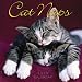 2008 Cat Naps 2008 Mini Wall Calendar **IN STOCK NOW**