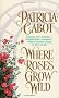 Where the Roses Grow Wild