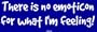 There is no emoticon for what I'm feeling! Large Bumper Sticker