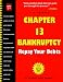 Chapter 13 Bankruptcy : Repay Your Debts (4th Ed)