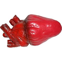 Scary life-size Food Props