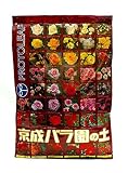 プロトリーフ 園芸用品 京成バラ園の土 5L×10袋