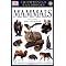 Smithsonian Handbooks: Animals
