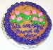 Chocolate Chip Cookie Cake 1lb. / 8