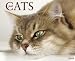 Just Cats 2009 Wall Calendar