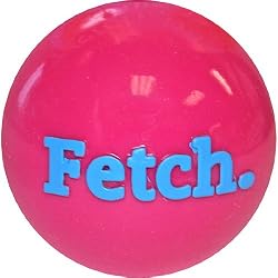 Planet Dog Orbee-Tuff Fetch Ball, Pink