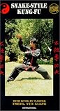 Review Artistic Video  / Snake Style Kung-fu