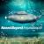 Anjunadeep 01