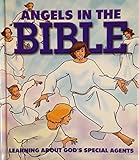 Angels in the Bible : learning about God's special agents