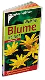 Welche Blume ist das?: 170 Wildblumen einfach bestimmen - typische Merkmale auf einen Blick